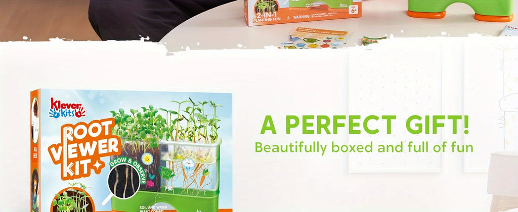 2 in 1 Root Viewer Planting Science Kit for Kids Aged 6+  Learning Gifts, Soil Hydro Observation