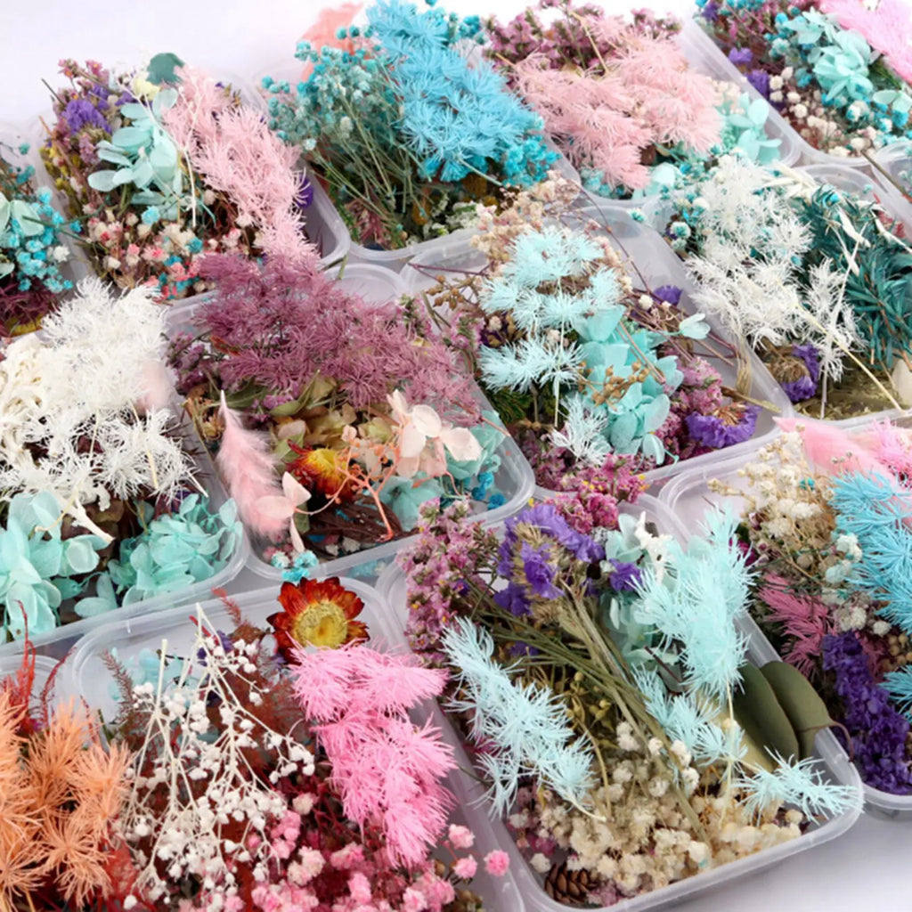 Dried flower DIY production material package natural immortal flower