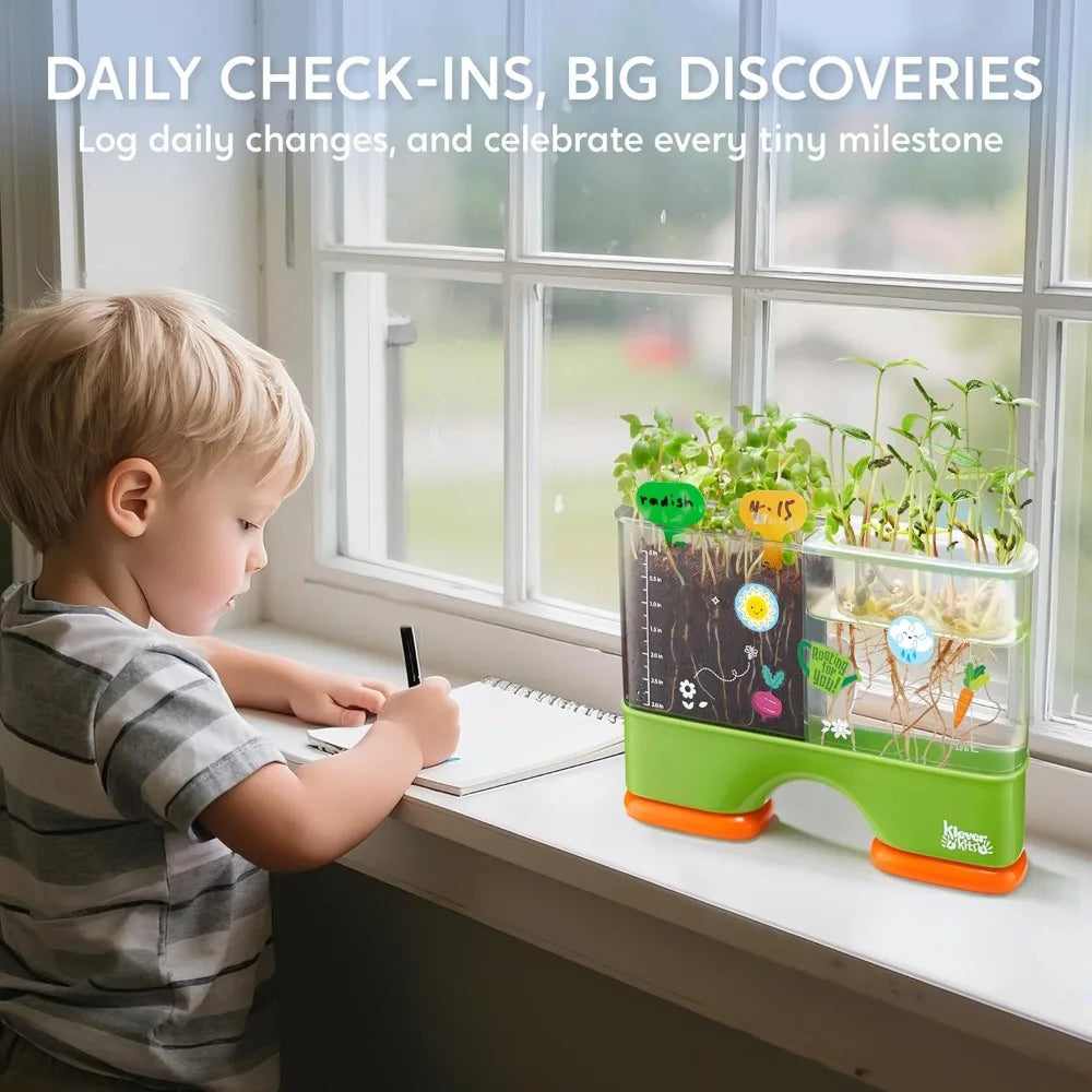 2 in 1 Root Viewer Planting Science Kit for Kids Aged 6+  Learning Gifts, Soil Hydro Observation