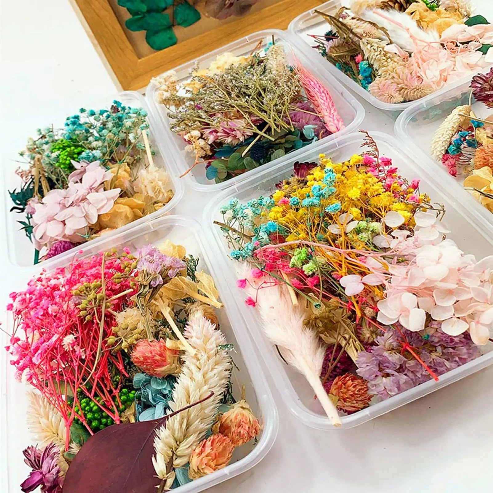 Dried flower DIY production material package natural immortal flower