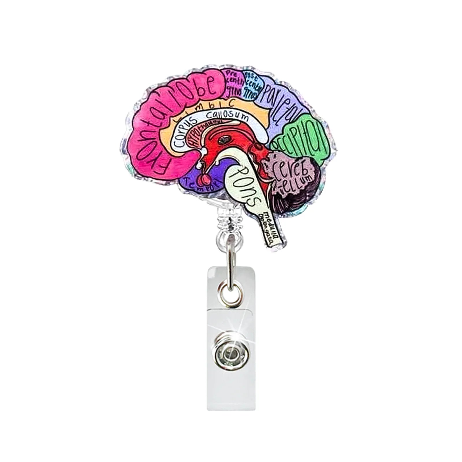 Creative Acrylic Heart Lung Brain Kidney Uterus Intestine Pattern Badge Reel Retractable