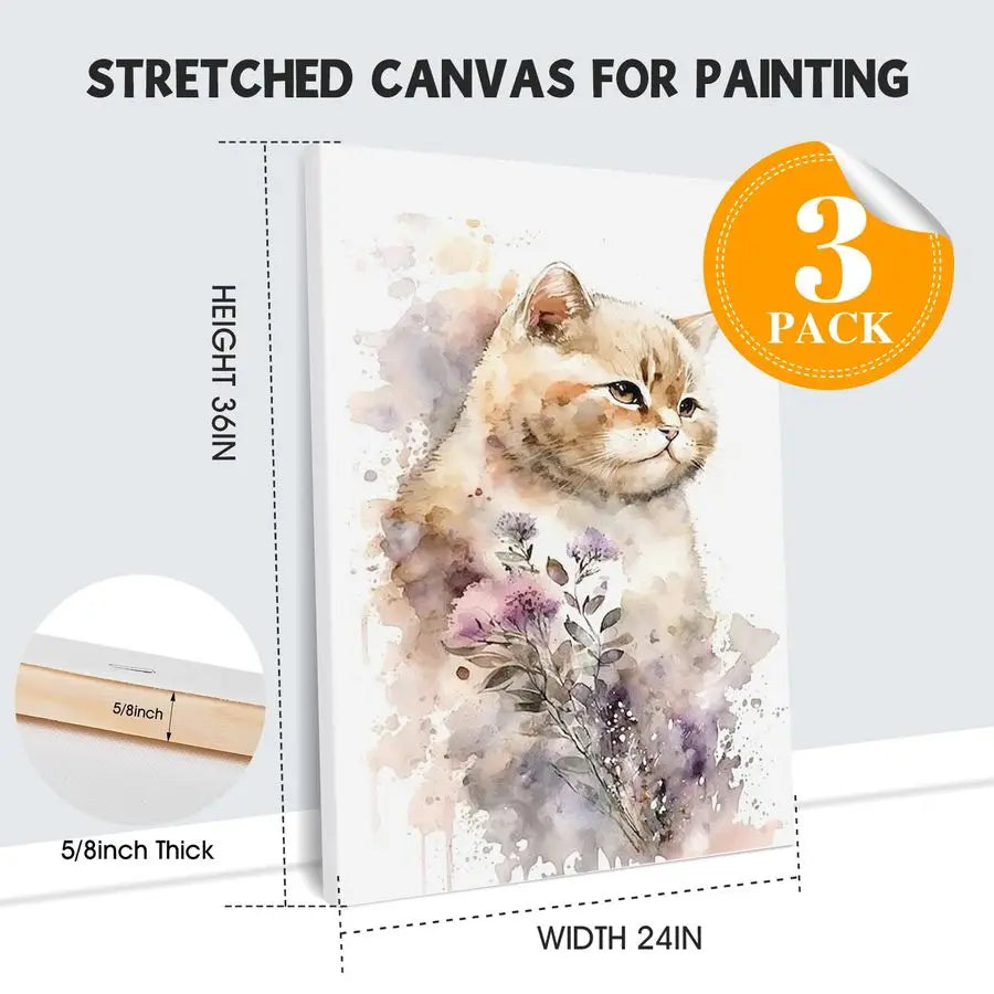 stretch canvas for painting,, 3Pack Large Canvas for Painting.