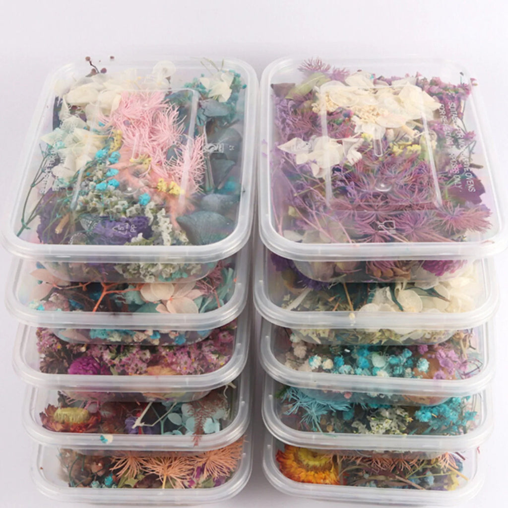 Dried flower DIY production material package natural immortal flower
