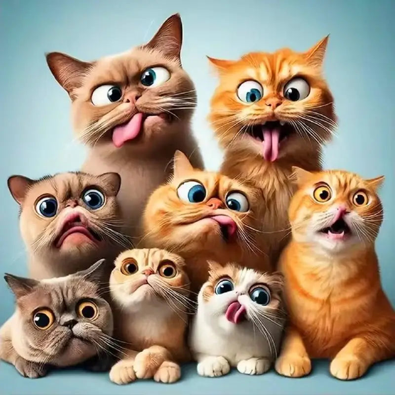 5D DIY Diamond Embroidery Complete Kit Jewelry Cross Stitch Christmas Gifts Funny Cat Full Square Diamond Painting Rhinestone Mosaic Animal Needlework