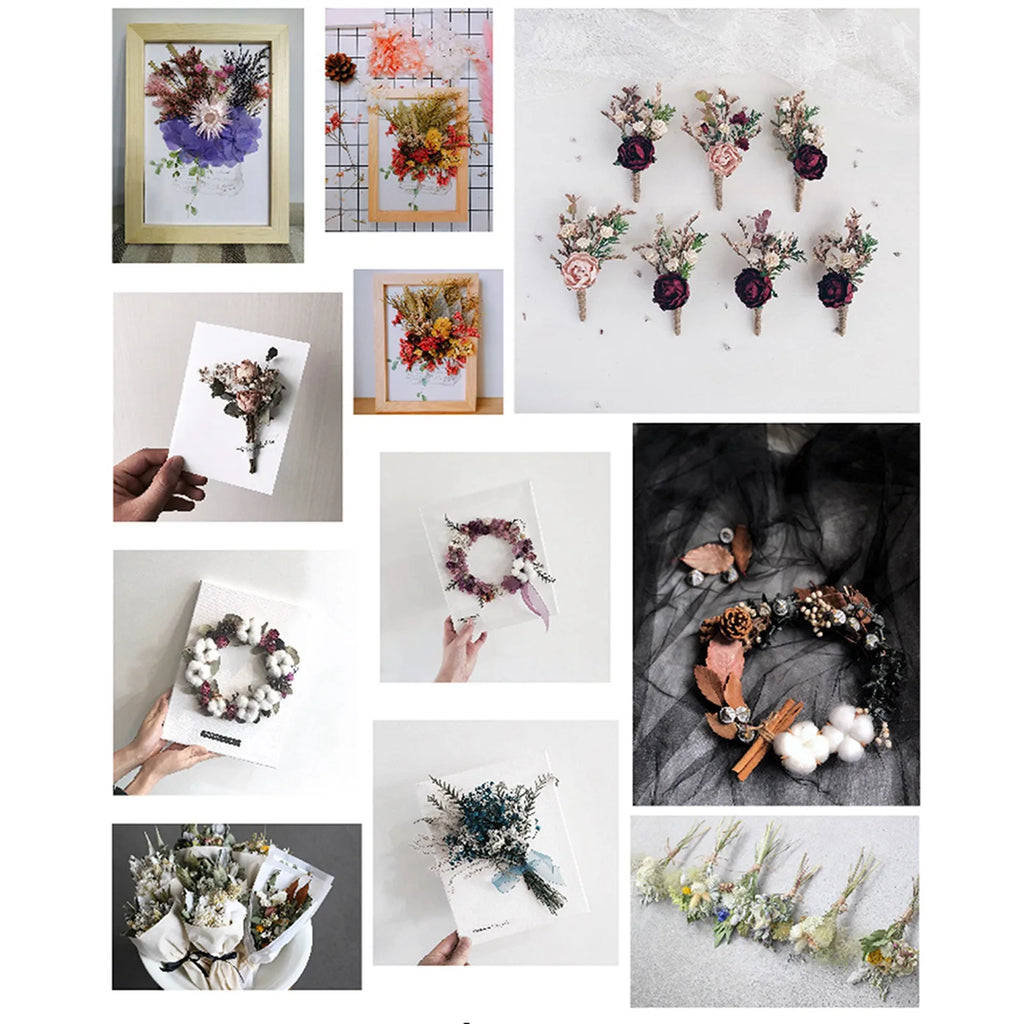 Dried flower DIY production material package natural immortal flower