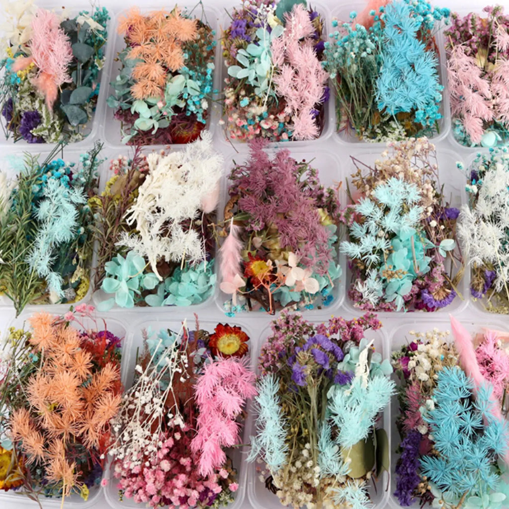 Dried flower DIY production material package natural immortal flower