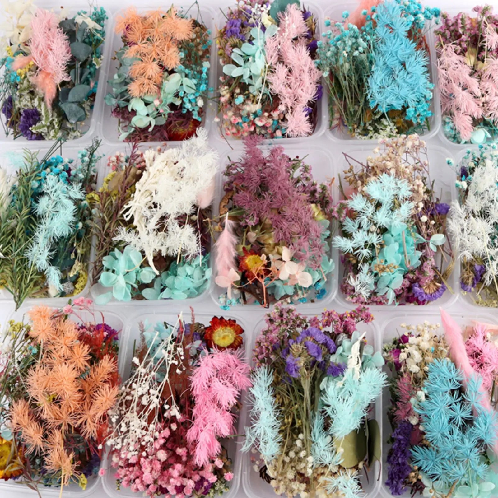 Dried flower DIY production material package natural immortal flower