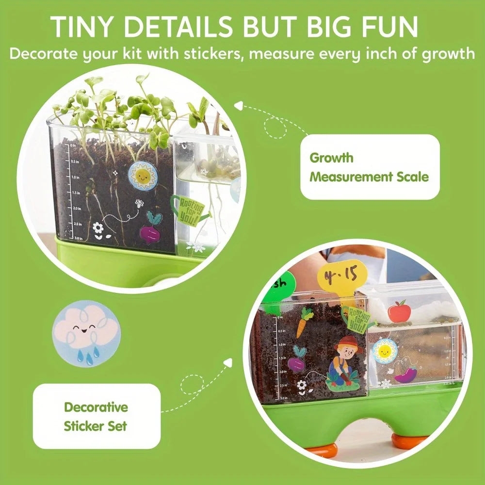 2 in 1 Root Viewer Planting Science Kit for Kids Aged 6+  Learning Gifts, Soil Hydro Observation