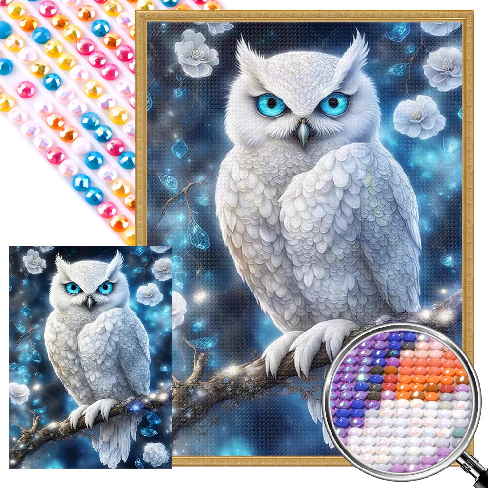 5D DIY Drill Partial AB Diamond Painting Owl Kit