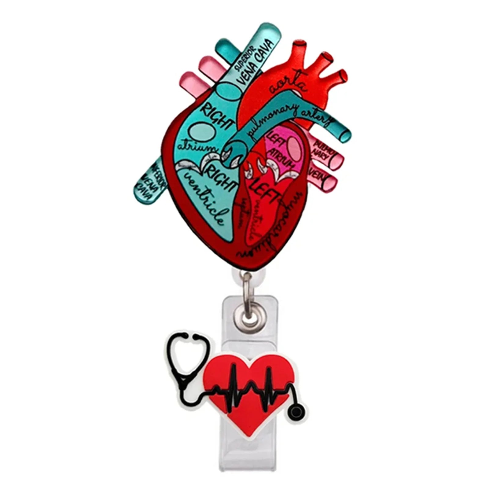 Creative Acrylic Heart Lung Brain Kidney Uterus Intestine Pattern Badge Reel Retractable