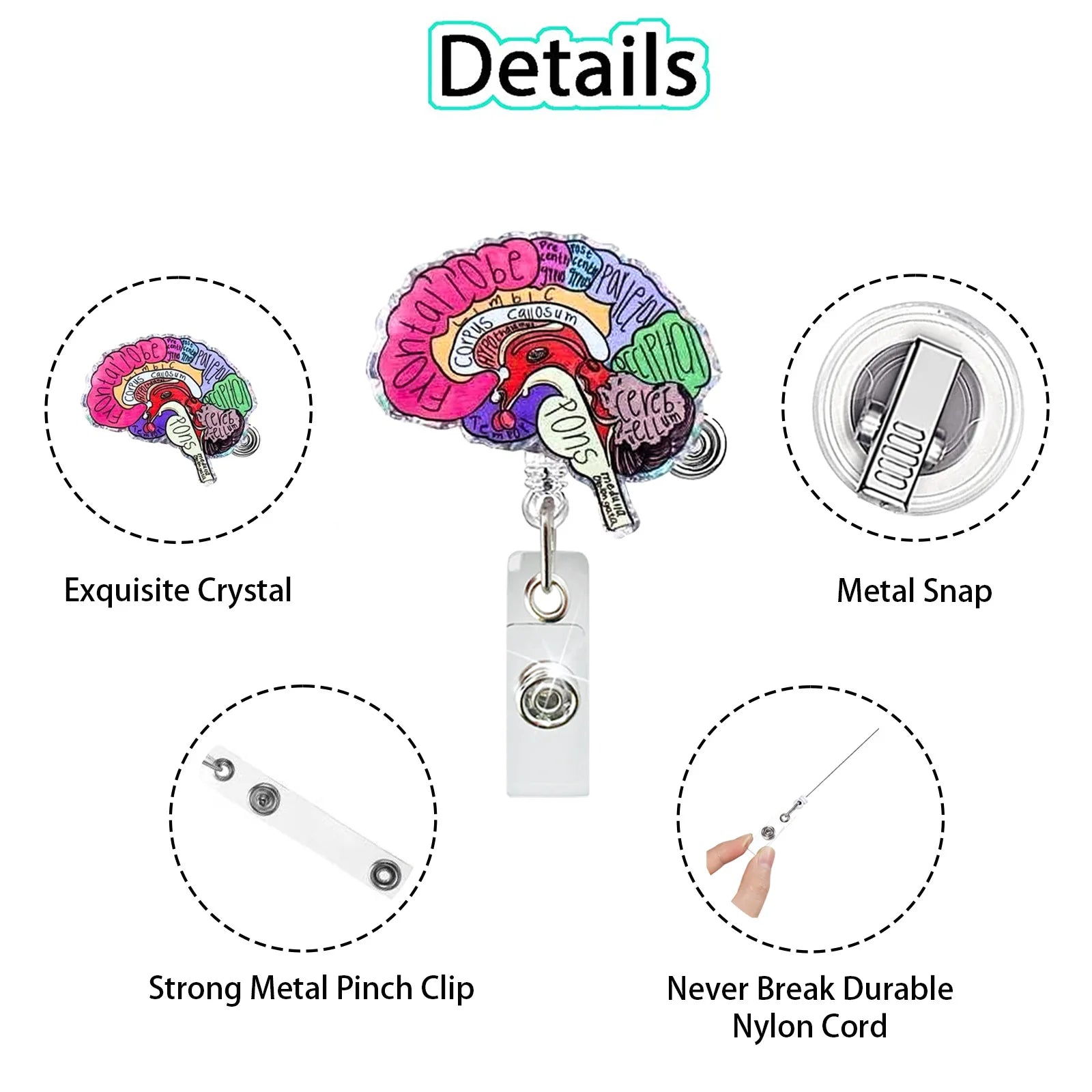 Creative Acrylic Heart Lung Brain Kidney Uterus Intestine Pattern Badge Reel Retractable