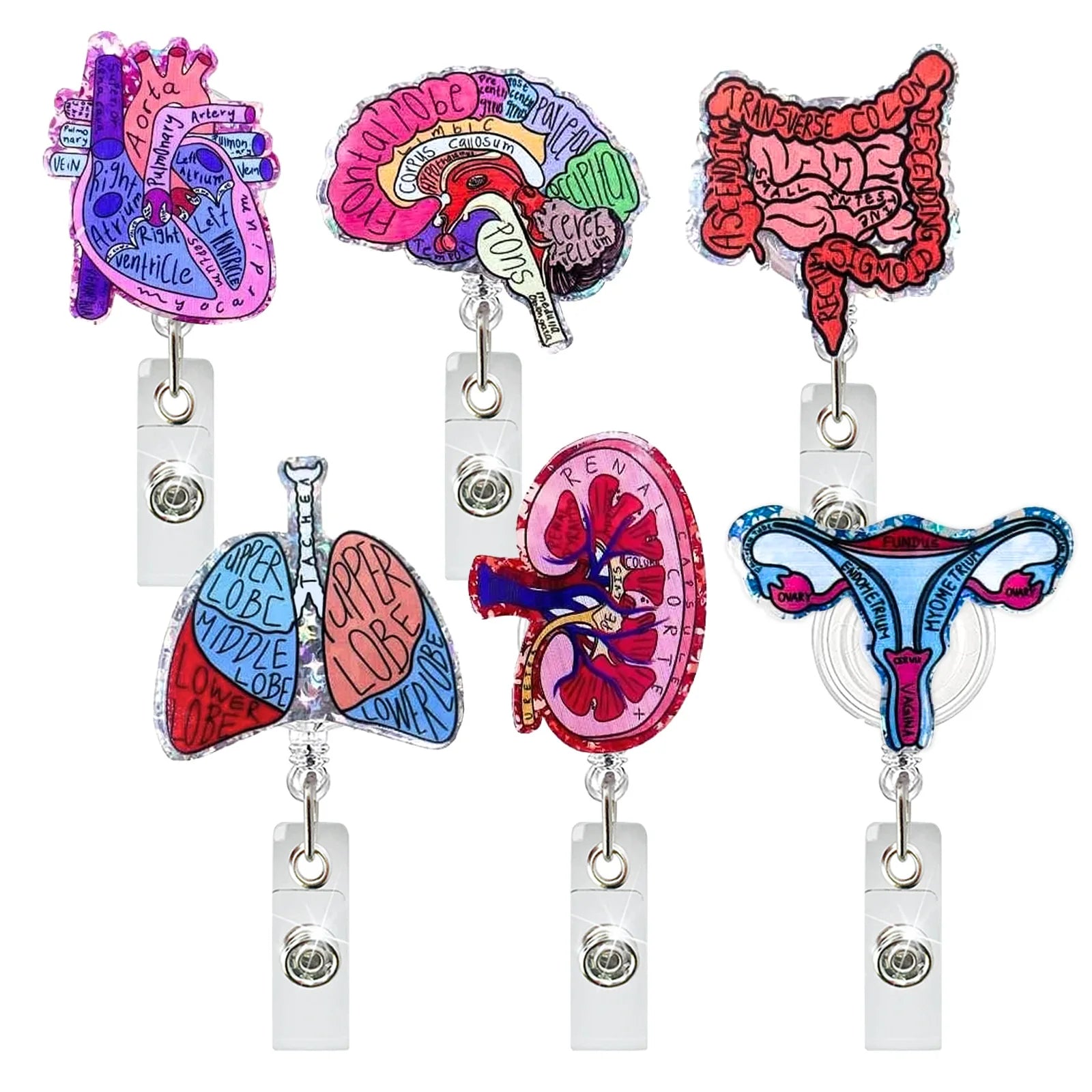Creative Acrylic Heart Lung Brain Kidney Uterus Intestine Pattern Badge Reel Retractable