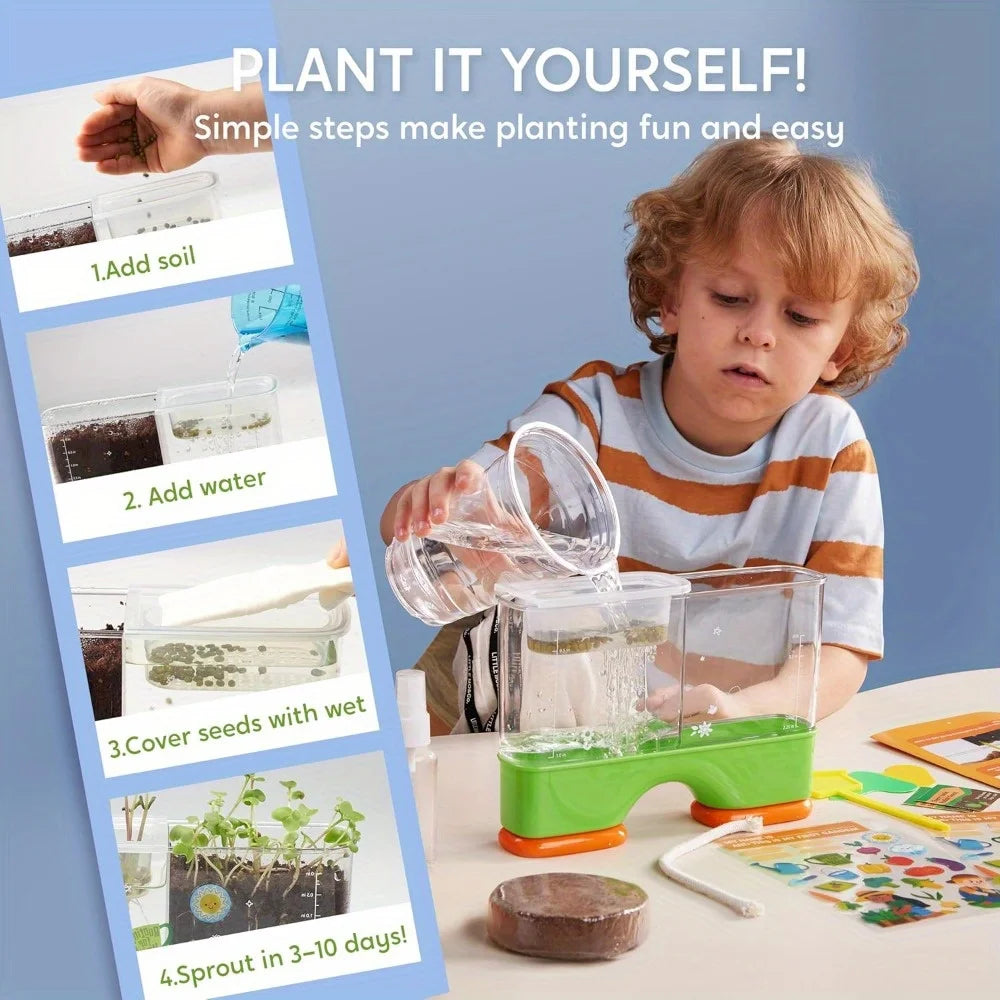 2 in 1 Root Viewer Planting Science Kit for Kids Aged 6+  Learning Gifts, Soil Hydro Observation