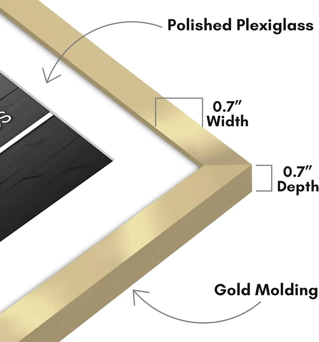 28x40 Poster Frame with Plexiglass - Thin Border Gold Frame for Wall - Display 24x36 or 28x40 Photos
