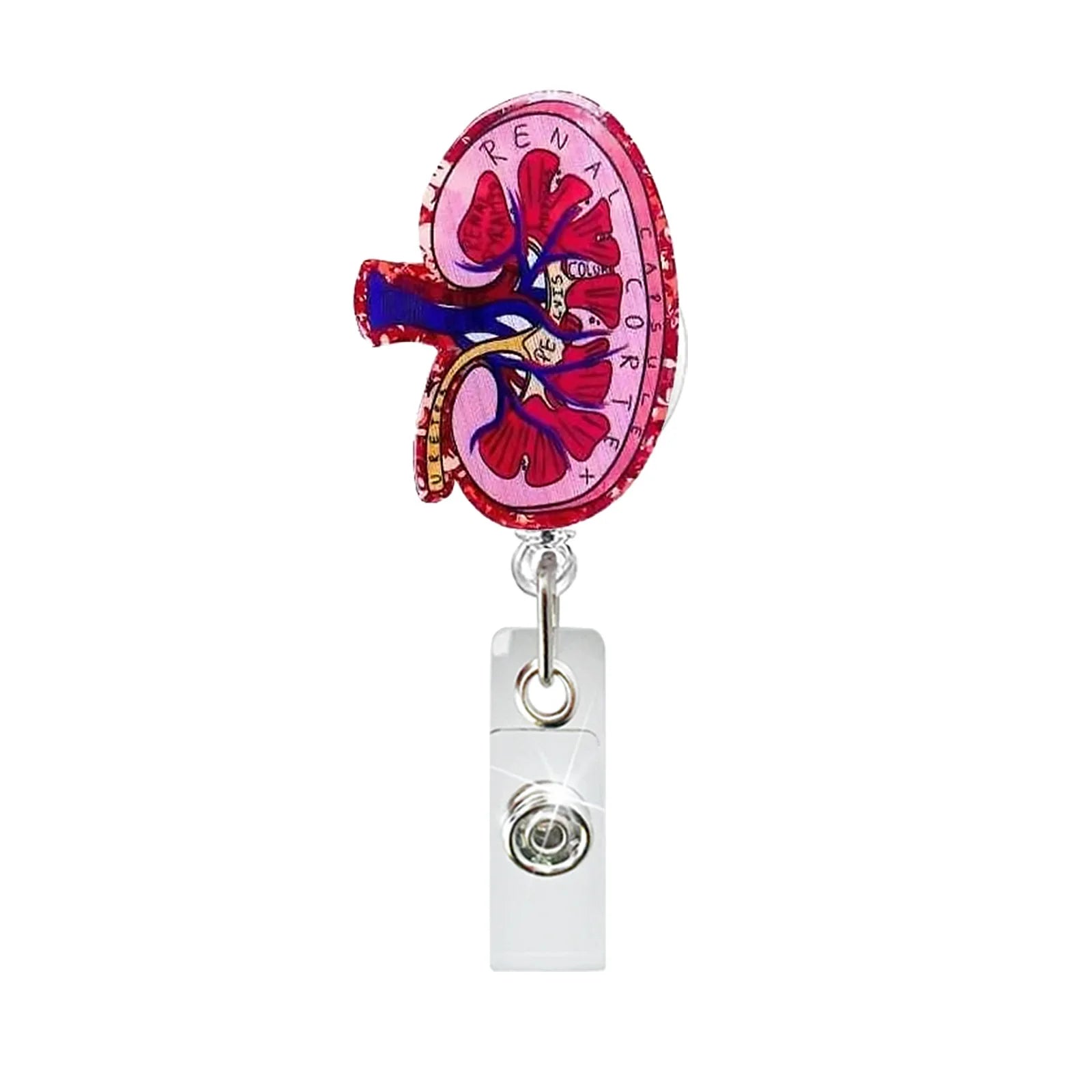 Creative Acrylic Heart Lung Brain Kidney Uterus Intestine Pattern Badge Reel Retractable