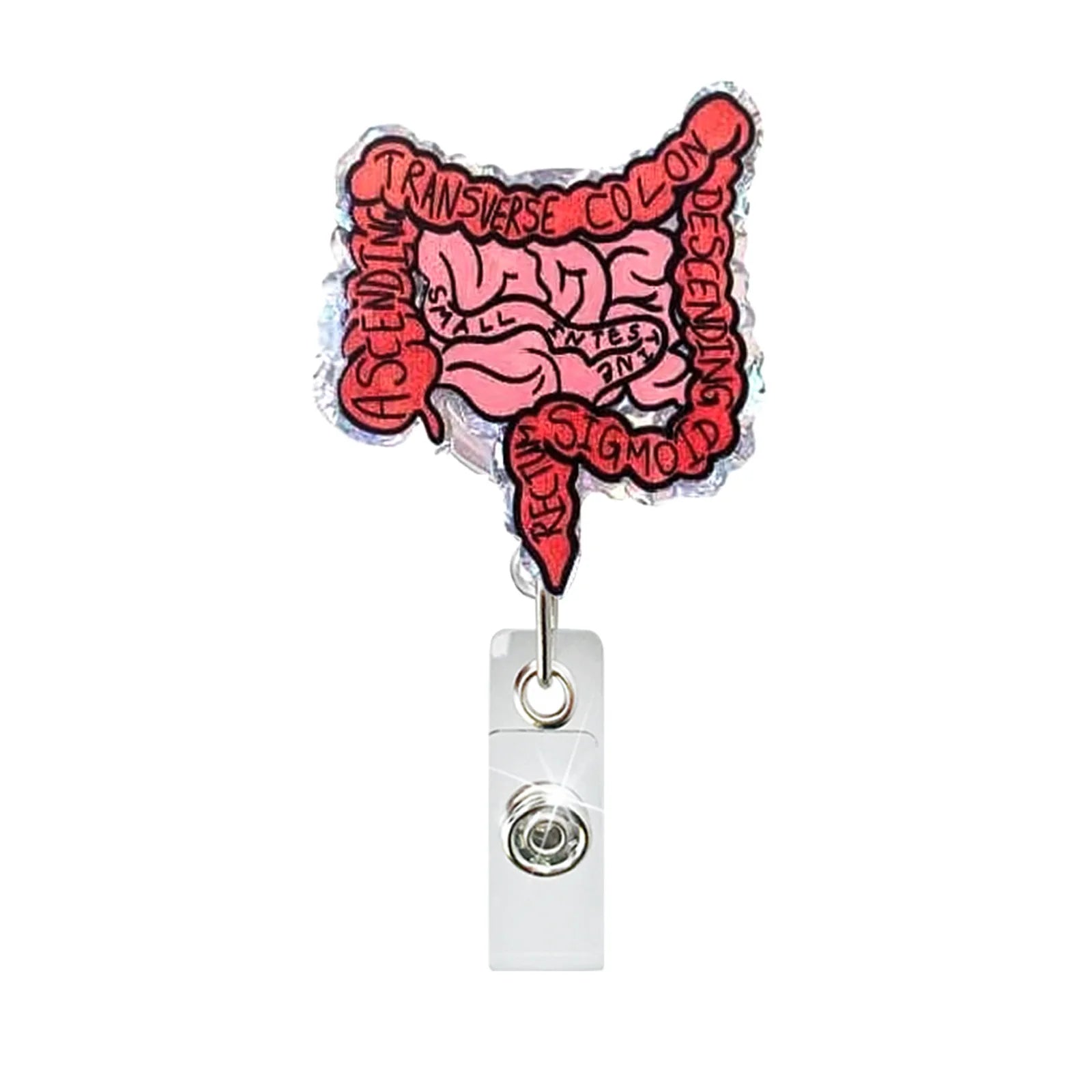 Creative Acrylic Heart Lung Brain Kidney Uterus Intestine Pattern Badge Reel Retractable