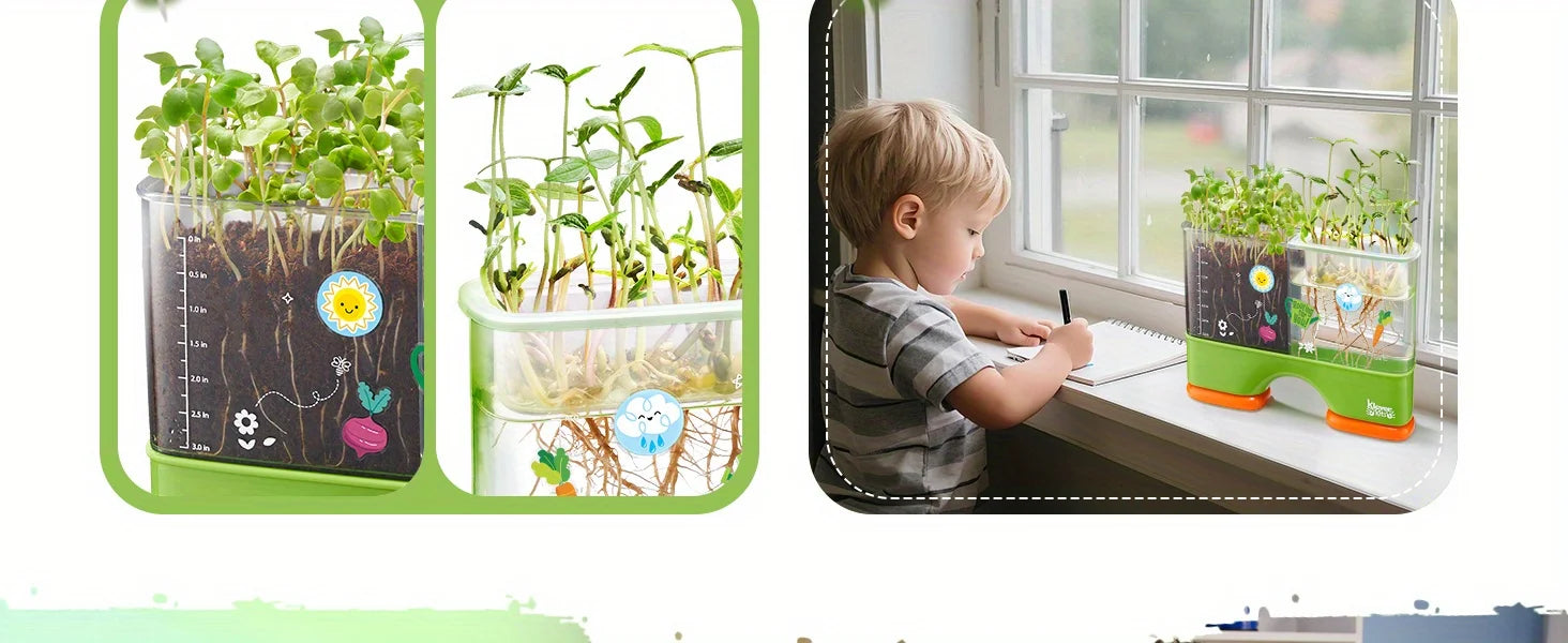 2 in 1 Root Viewer Planting Science Kit for Kids Aged 6+  Learning Gifts, Soil Hydro Observation
