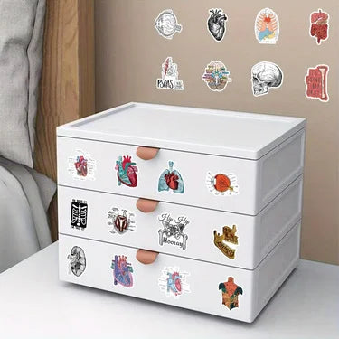 100PCS Waterproof Anatomy Stickers, Human Body Organ Decals for Medical Students,